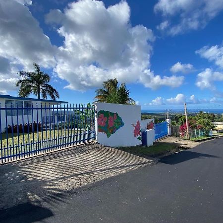 Million Dollar View In Puerto Rico Luquillo Exterior foto