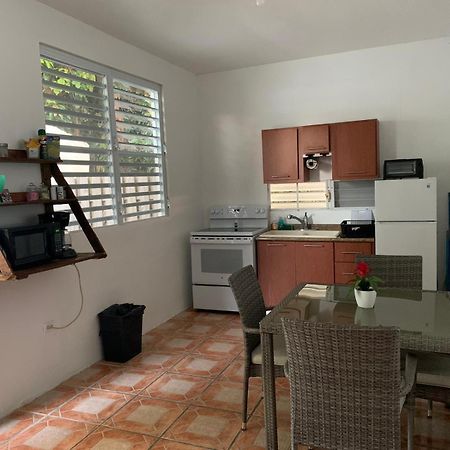Million Dollar View In Puerto Rico Luquillo Exterior foto