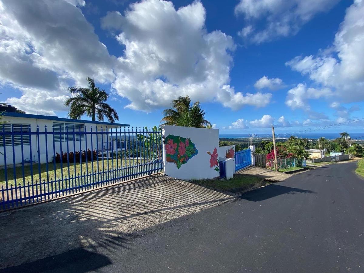 Million Dollar View In Puerto Rico Luquillo Exterior foto
