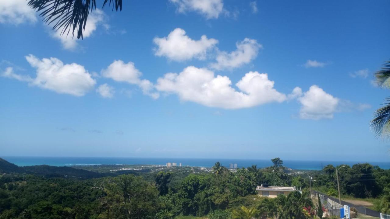 Million Dollar View In Puerto Rico Luquillo Exterior foto