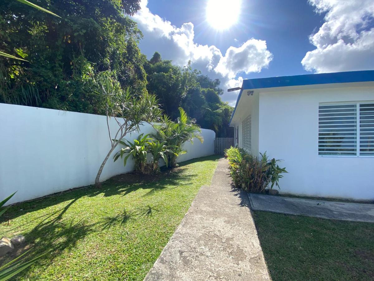Million Dollar View In Puerto Rico Luquillo Exterior foto
