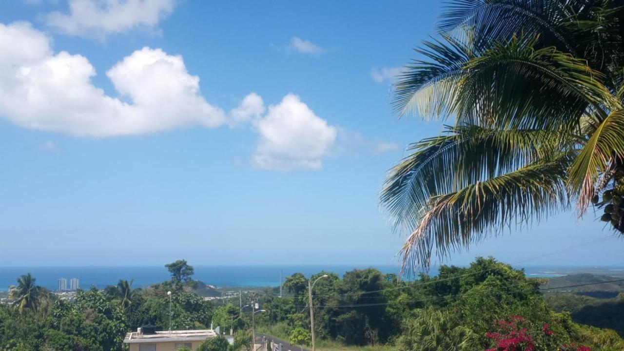 Million Dollar View In Puerto Rico Luquillo Exterior foto