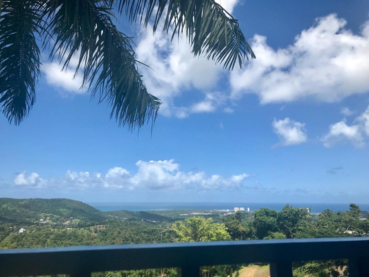Million Dollar View In Puerto Rico Luquillo Exterior foto