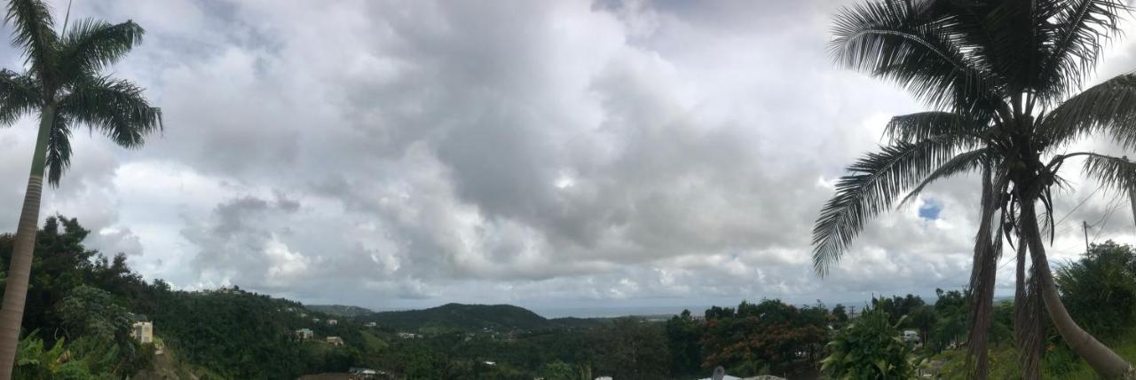 Million Dollar View In Puerto Rico Luquillo Exterior foto