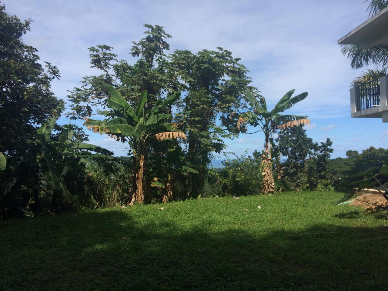 Million Dollar View In Puerto Rico Luquillo Exterior foto
